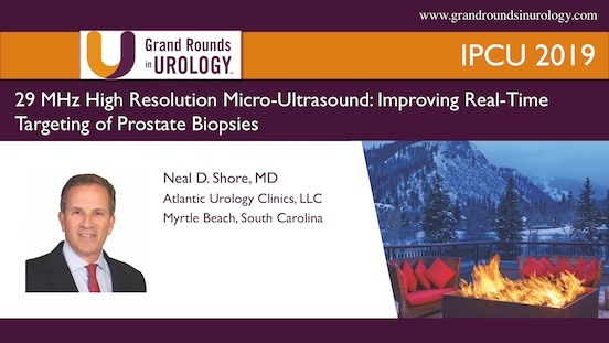 29 MHz High Resolution Micro-Ultrasound: Improving Real-Time Targeting of Prostate Biopsies