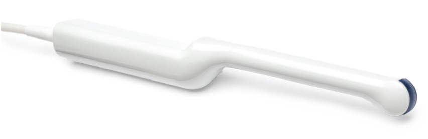 EV9C transrectal transducer